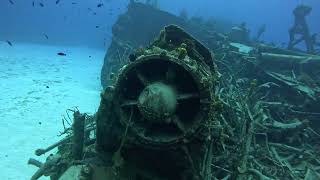 The Keith Tibbitts in Cayman Brac Beach Dive [upl. by Natanhoj928]