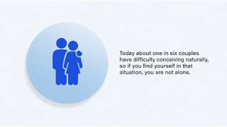 What is IVF All the way from egg collection to embryo transfer and freezing [upl. by Laehcym]