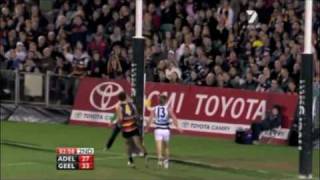 AFL  Round 16  Adelaide vs Geelong [upl. by Auqinehs]