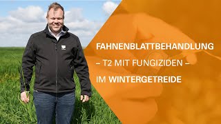 Fahnenblattbehandlung  T2 mit Fungiziden  im Wintergetreide [upl. by Sammy268]