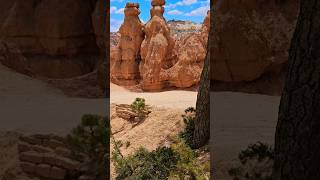 Bryce Canyon Natl Park Utah Hiking Navajo Trail with Sushi brycecanyon [upl. by Josie]