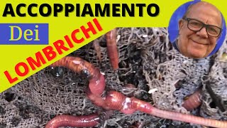 ACCOPPIAMENTO LOMBRICHI ed informazioni dettagliate [upl. by Henrion]