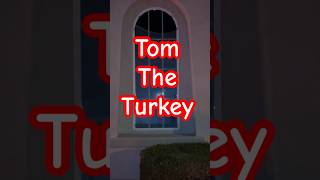 Tom the Turkey [upl. by Ecyla]