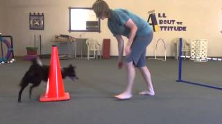 Teaching Left And Right To Your Agility Dog [upl. by Htebazile]