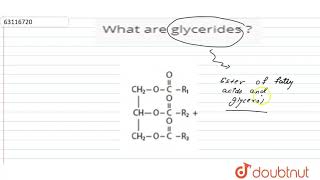 What are glycerides [upl. by Douville]