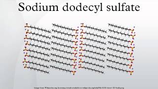 Sodium dodecyl sulfate [upl. by Adnauqal878]