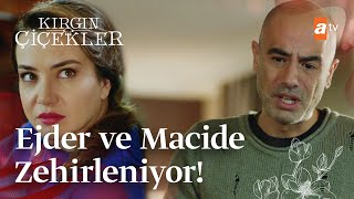 Zehra Ejder ve Macideyi zehirliyor  Kırgın Çiçekler Mix Sahneler [upl. by Octavian220]