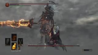 DARK SOULS 3 Sellsword Twinblades vs Nameless King [upl. by Albertina]