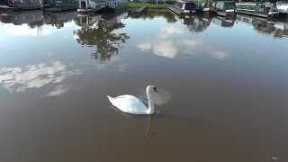 Droitwich Spa Marina [upl. by Conrad]