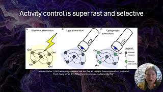 MnDRIVE Optogenetics and Neuromodulation Research Core [upl. by Arretal]