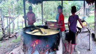 Fabricando farinha de mandioca [upl. by Sevy70]