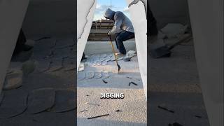 Why This Guy Dig a Hole On The Roof🤔 [upl. by Angelo]