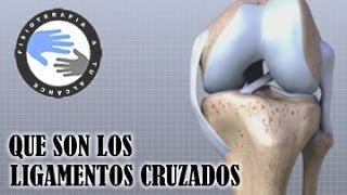 Ligamentos cruzados de rodilla que son y como se lesionan [upl. by Esilec]