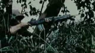 Vietnam War Footage  Ramblin Gamblin Man [upl. by Navnod344]