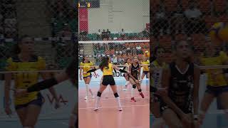 VakıfBank  SSC Palmberg Schwerin 🏐 [upl. by Minny114]