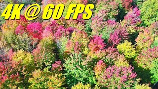 Fimi Mini 3 Drone Fall Foliage 4K 60fps [upl. by Attalanta]