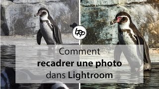 📷 Comment RECADRER une PHOTO dans LIGHTROOM  Cours 03 [upl. by Theodoric]