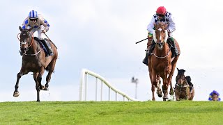 BANBRIDGE gets up on the line in a fantastic finish to Punchestowns William Hill Champion Chase [upl. by Yennep]