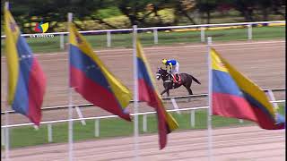 1era carrera  El De Valle  Hipódromo La Rinconada  Reunión 26  2024 [upl. by Rosenbaum]