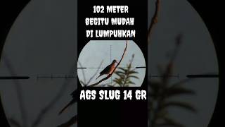 LONG RANGE SHOOTING AGS SLUG 14 GR [upl. by Almeta]