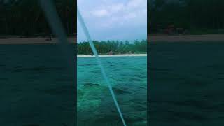 Bakhaw in Esperanza camotes island cebu viralvideo nature socialmediachannel beach yourchannel [upl. by Leihcey]