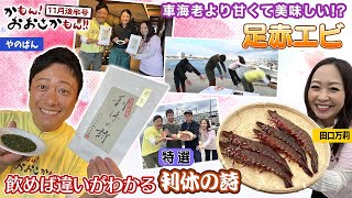 【泉佐野市】クルマエビよりも甘い！？千利休ゆかりの地で味わう飲めば違いがわかる名品！かもん！おおさかもん！！2024年11月後半号 [upl. by Ennayr]