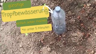 Tropfbewässerung mit PETFlaschen I Wasser und Zeit sparen beim gießen [upl. by Eeuqram]