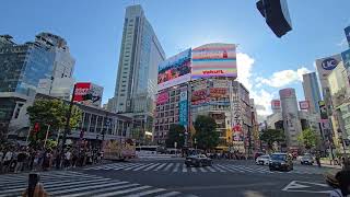 shibuya crossing [upl. by Mcclain373]