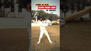 How to Play Scoop Shot or Ramp Shot in Cricket🏏 [upl. by Ad102]