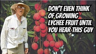 Dont Grow Lychee Fruit Until You See This Video [upl. by Kirchner]