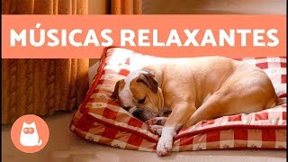 2 horas de MÚSICAS RELAXANTES PARA CACHORROS [upl. by Bendicta]