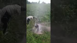 To attach Borewell drilling gap water source shorts shortsvideo farmer slvmotor youtubeshorts [upl. by Ontina]