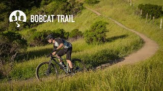 2019 Bobcat Trail [upl. by Muldon869]