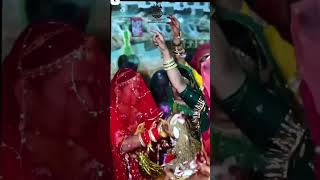 wedding videos Bishnoi wedding bishnoistatus bishnoiculture bishnoitradition [upl. by Sirrom]