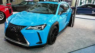 New Custom 2019 Lexus UX 250h Hybrid  2018 LA Auto Show Los Angeles CA [upl. by Annai]