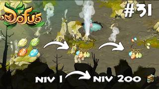 DOFUS 31 UP de 0 à 200 quavec les quêtes  La QUÊTE la plus CHER de Frigost [upl. by Mayap]