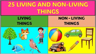 LIVING things and NONLIVING things  Science learning videos for kids [upl. by Saraiya]