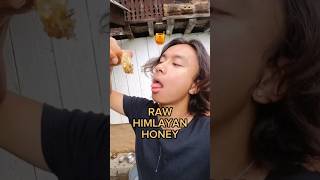 Indulging in Raw Himalayan Honey with Medicinal Properties 🍯🏔️  Natures Healing Nectar [upl. by Rehpatsirhc447]