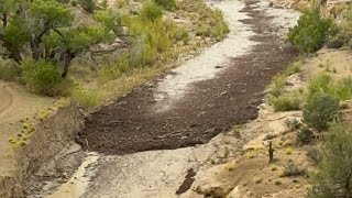 Flash flood Grand Staircase  Escalante National Monument Utah Sep 13 2023 [upl. by Juliana]