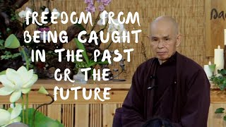 Freedom from Being Caught in the Past or the Future  Dharma talk by Thich Nhat Hanh 20140726 [upl. by Beshore534]