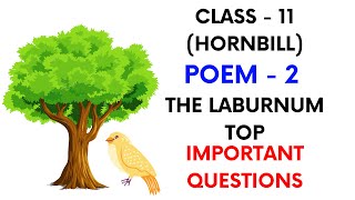 Important Questions  The Laburnum Top  Poem2  Hornbill  Class11 [upl. by Libb221]