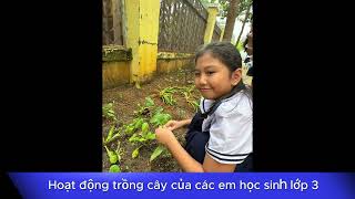 Clip trồng cây 2024 [upl. by Templas]