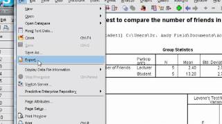 Exporting SPSS Output To Word [upl. by Novello]