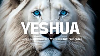 Prophetic Worship Instrumental YESHUAJesus Image Intercession Soaking Worship [upl. by Lindemann]