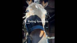 Rating forelocks 🐴🍓 [upl. by Siuluj]