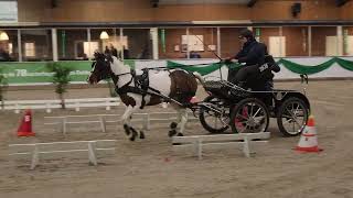 Fahrturnier AmbtDelden 2712024 [upl. by Eberly628]