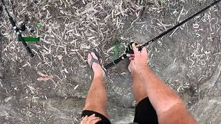 bank fishing with bait in the wimmera river [upl. by Dlonyer673]