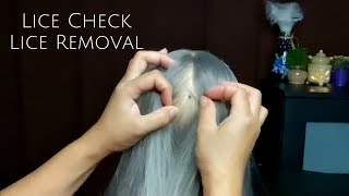 ASMR Satisfying Tingly Lice Check Lice Removal with comb  No Talking 😴💤🥱 [upl. by Eecyaj]