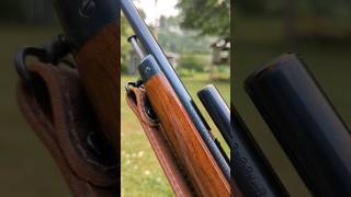 Perfect Plinker  GunBroker Find  Winchester 63  22LR [upl. by Zavala]