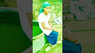 Love marriage wali bahu  comedy  entertainment  ytshort  dance  song [upl. by Weisburgh]